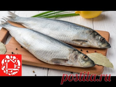 5 рецептов из Селедки на Праздничный стол! 😍 Вкусно, Просто и Легко!