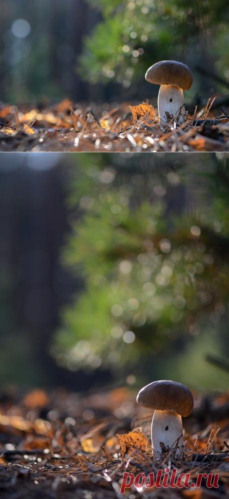 35PHOTO - Вячеслав Мищенко - Вечерняя.