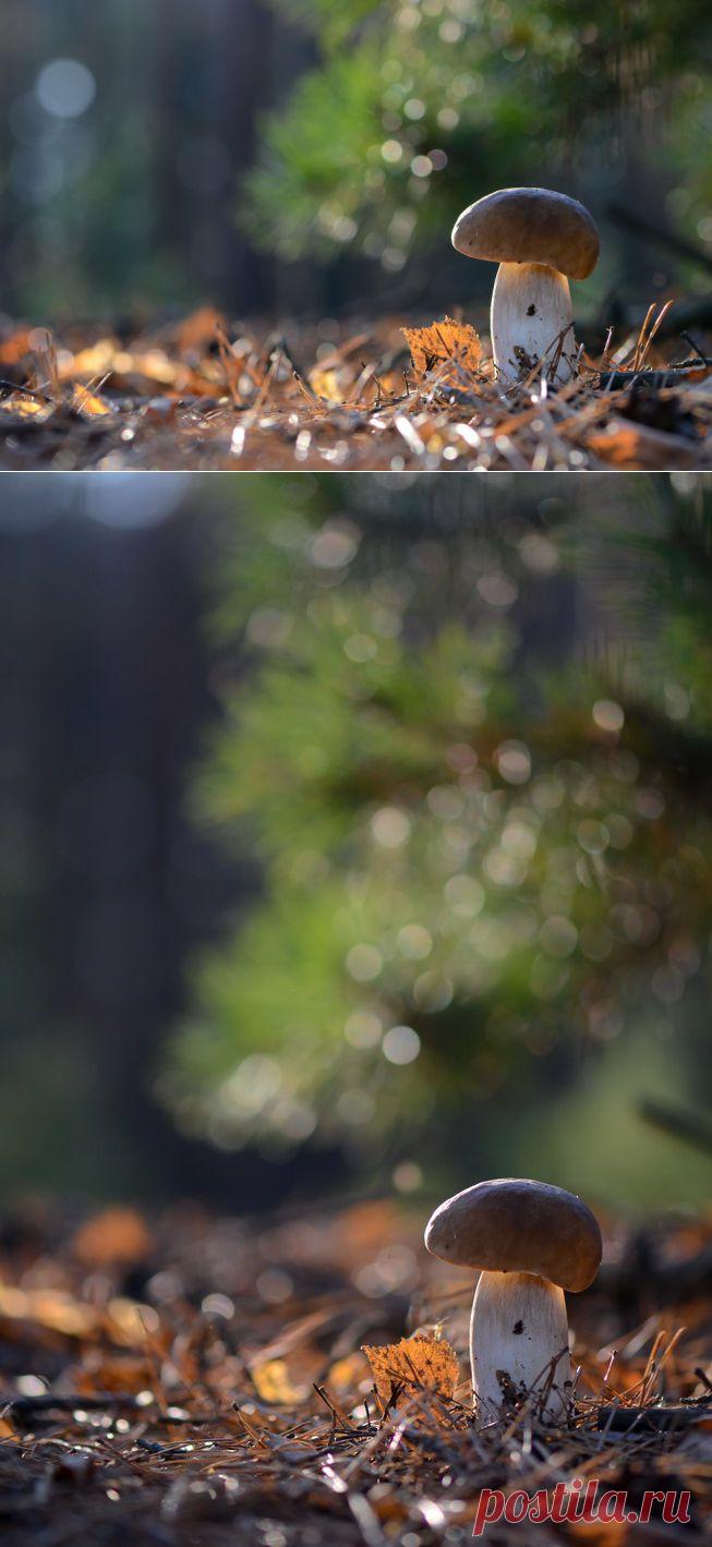 35PHOTO - Вячеслав Мищенко - Вечерняя.