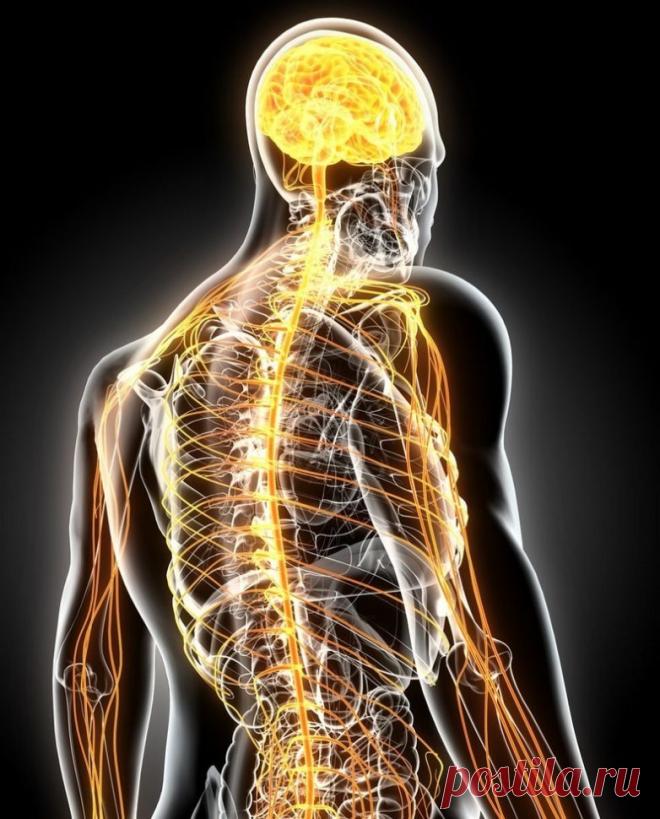 Крайне важная связь! Магний и витамин B6 / Будьте здоровы