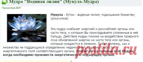 Мудры