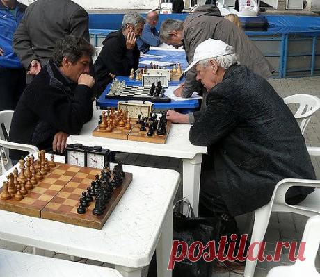 Сергей Анатольевич — «В память о шахматисте...» на Яндекс.Фотках