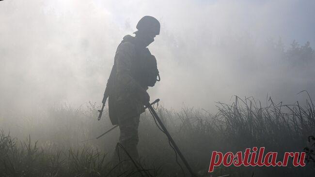 Силы КНДР разминируют курское приграничье, сообщил Хинштейн