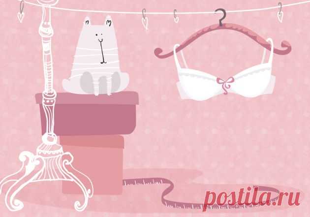 ИНФОГРАФИКА: Как быстро найти правильный размер бюстгальтера с помощью смежных размеров - Лайфхакер