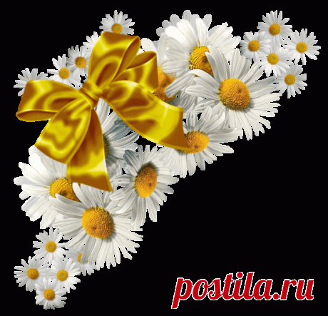 разные красивые детали на прозрачном фоне: 19 тыс изображений найдено в Яндекс.Картинках