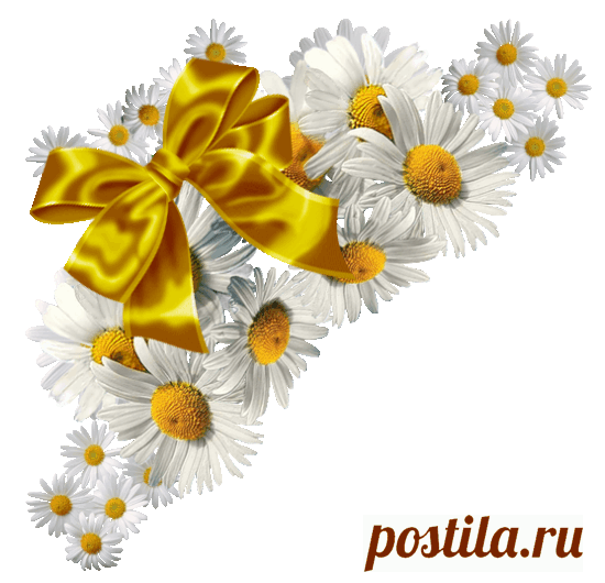 разные красивые детали на прозрачном фоне: 19 тыс изображений найдено в Яндекс.Картинках