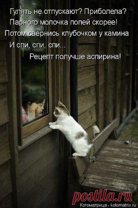 Интересные новости