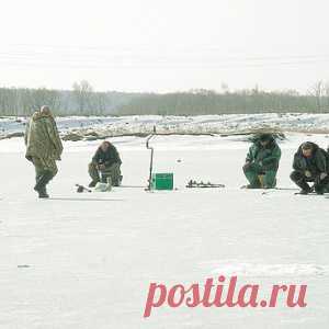 Уклейка на исходе ледостава - МирТесен