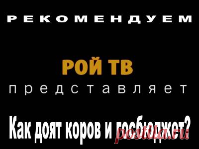 Рекомендуем. Всеядная аналитика.В. Мельниченко: Как доят коров и госбюджет? - 30 Июля 2016 - Russia-Asia-Siberia