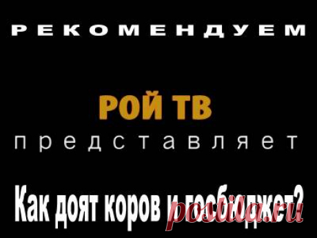 Рекомендуем. Всеядная аналитика.В. Мельниченко: Как доят коров и госбюджет? - 30 Июля 2016 - Russia-Asia-Siberia