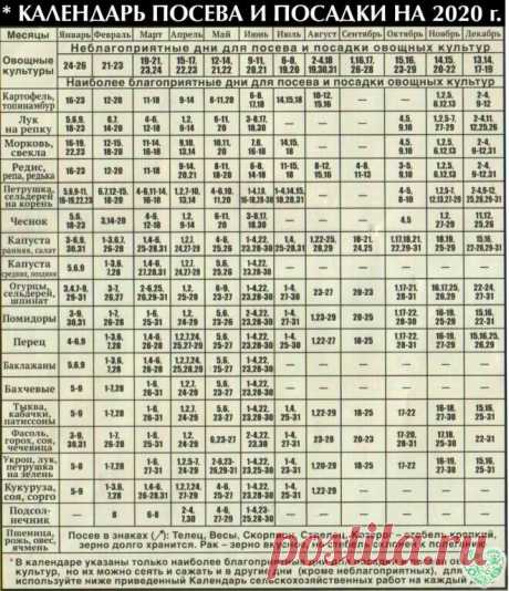 Посев семян томатов, благоприятные дни:
1,2 , 3, 4, 7 , 8, 27, 28 февраля.
1, 2 , 3 , 6 , 7, 8 , 11, 29 , 30 марта.
Посев на рассаду семян перца и баклажанов:
11 , 12, 13 , 16 , 17,18 , 19, 20,21 , 22 февраля.
15 , 16,17,18,19, 20 , 20 , 21, 22 , 25 , 26, 27  марта.
Благоприятные периоды для посева капусты на рассаду:
1, 2 , 3, 4, 7 , 8, 27, 28 февраля.
1, 2 , 3 , 6 , 7, 8 , 11, 29 , 30 марта.
Огурцы в 2020 году лучше всего сеять в следующие периоды:
1,2 , 3, 4, 7 , 8, 27,...