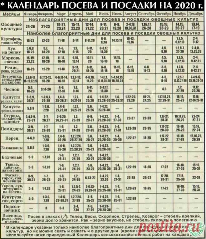 Посев семян томатов, благоприятные дни:
1,2 , 3, 4, 7 , 8, 27, 28 февраля.
1, 2 , 3 , 6 , 7, 8 , 11, 29 , 30 марта.
Посев на рассаду семян перца и баклажанов:
11 , 12, 13 , 16 , 17,18 , 19, 20,21 , 22 февраля.
15 , 16,17,18,19, 20 , 20 , 21, 22 , 25 , 26, 27  марта.
Благоприятные периоды для посева капусты на рассаду:
1, 2 , 3, 4, 7 , 8, 27, 28 февраля.
1, 2 , 3 , 6 , 7, 8 , 11, 29 , 30 марта.
Огурцы в 2020 году лучше всего сеять в следующие периоды:
1,2 , 3, 4, 7 , 8, 27,...