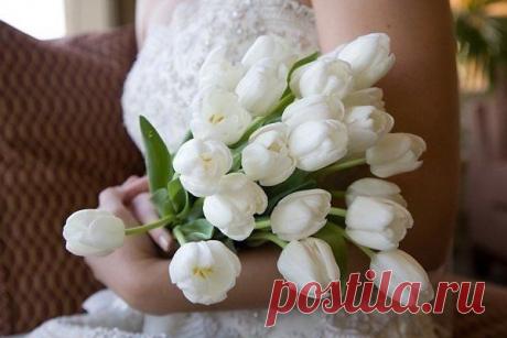 Co-Motivation....ОБРАЗ ЖИЗНИ.