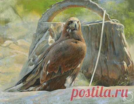 «Хищная птица» картина Чернова Дениса маслом на холсте — купить на ArtNow.ru