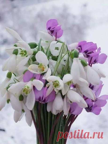 Բարի լույս բոլորիդ․․․🥀🥀🥀
Նոր օր, նոր երազանքներ, նոր հնարավորություններ,թող այսօր ամեն ինչ լավ լինի!
Լավ օրը սկսում է բարի մտքերից և հաճելի գործերից։ Թող Ձեր մոտ լինի հենց այդպես․․․Շռայլենք իրար ժպիտ ու ծիծաղ, Միշտ բարի խոսքեր, Ծաղիկներ ու սեր.🌹💛
Լույսը դռանն է մնում,
Ներս չի մտնում առանց քեզ:
Ման եմ գալիս ինձ գտնեմ,
Եվ չեմ գտնում առանց քեզ: 
Երբ որ հեռու ես այդքան,
Դու ավելի ես ինձ մոտ, 
Ոչ մի օրս չի բացվում, 
Ու չի մթնում առանց քեզ:
Համո Սահյան