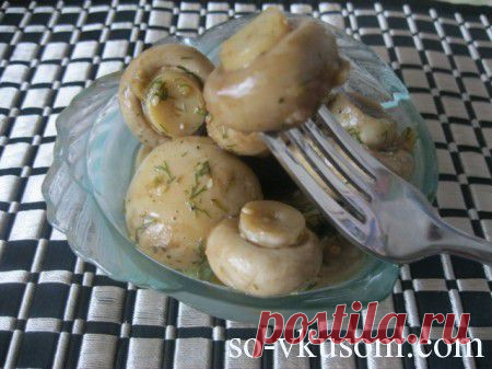 Дневник balini