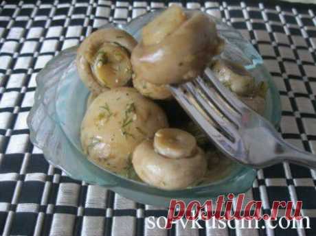 Дневник balini