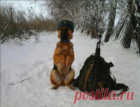 Вежливые Люди. Русь Единая - НОД ☑ 18₊
маргарита сайгушева(александрова)