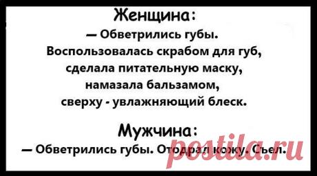 Смешные комментарии из социальных сетей (29 фото) . Чёрт побери