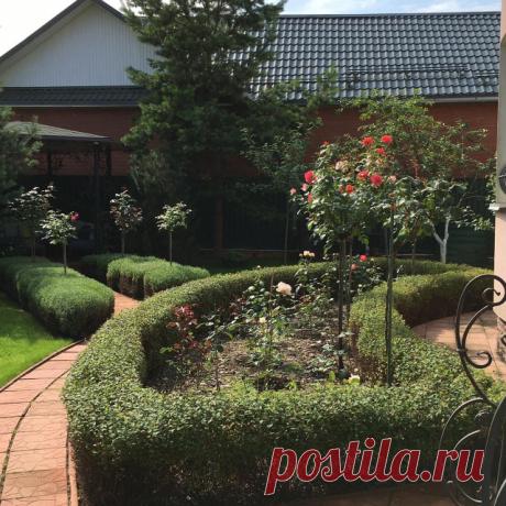 В гостях: Садик в подмосковных Рыбаках — как во Франции