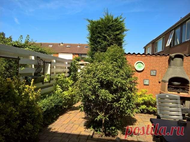 В Голландии начался дачный сезон. «Дача» по-голландски, в чем отличие от нашей дачи | Люблю Себя