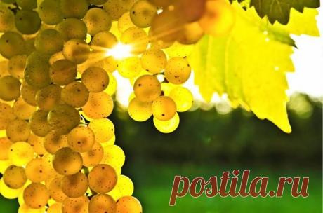 осень фантастически прекрасна