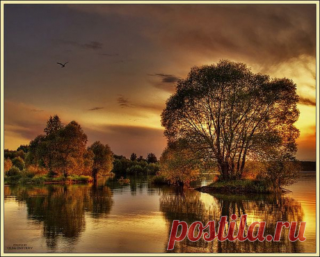 Evening