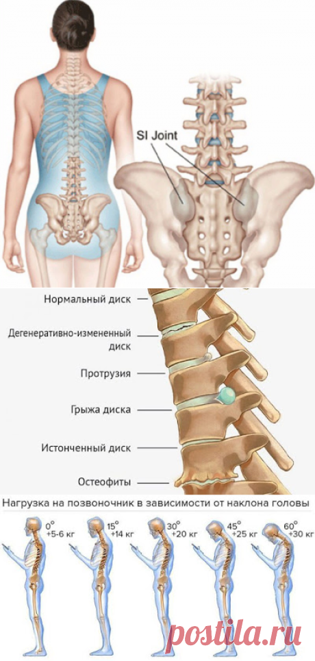 Гимнастика для позвоночника Мирзакарима Норбекова ~ Шкатулка рецептов