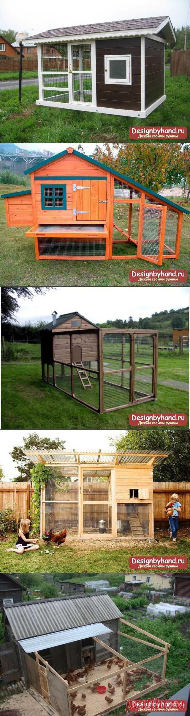 Курятник на даче своими руками. Идеи и фото
