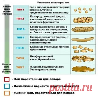 Почему котенок не какает и что с этим делать?