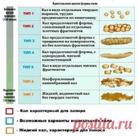 Почему котенок не какает и что с этим делать?