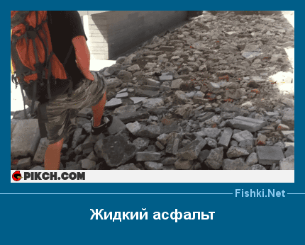 Анимахи. Часть 46 (20 гифок)