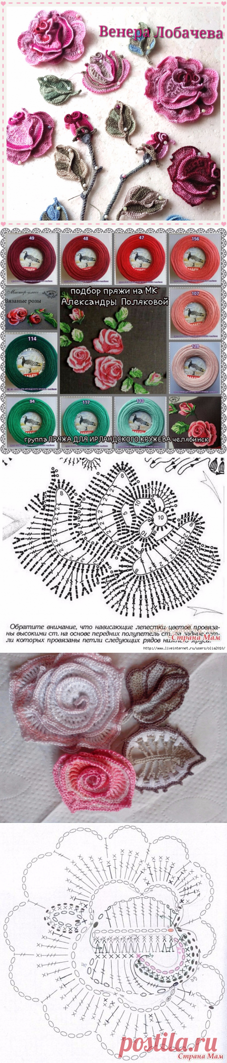 Ах эти розы......