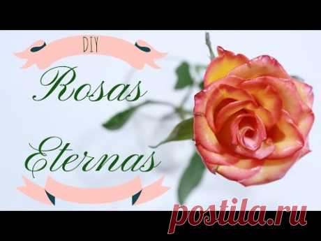 ¿ROSAS QUE DURAN POR SIEMPRE?  DIY / EXPERIMENTO | Pabla en casa