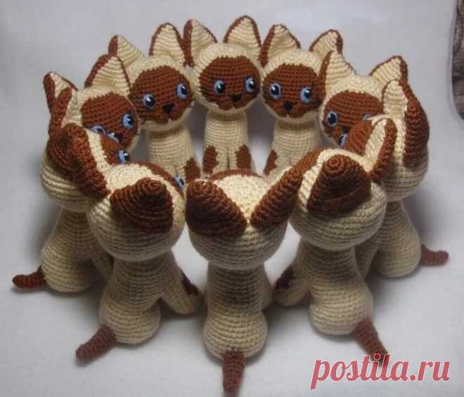 Котенок по имени Гав