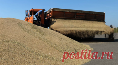 В рамках зерновой сделки в Африку вывезли лишь 12% от всего объёма продовольствия. В Совместном координационном центре в Стамбуле заявили, что в рамках зерновой сделки в Африку вывезли лишь 12% от всего объёма продовольствия. Читать далее