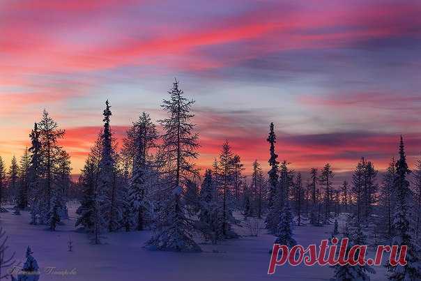 Недалеко от города Лабытнанги, Ямало-Ненецкий автономный округ. Автор фото: Татьяна Гончарова.