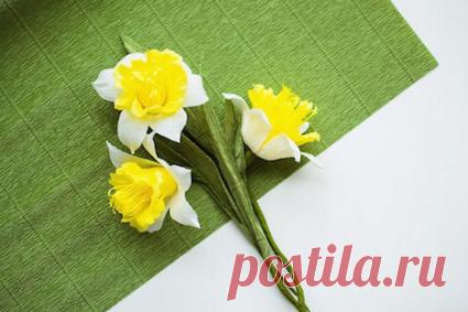 Нарцисс крупнокорончатый из гофрированной бумаги. Мастер-класс :: Втворчестве.ru