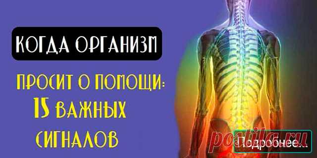 КОГДА ОРГАНИЗМ ПРОСИТ О ПОМОЩИ - ПОЛЕЗНЫЕ СОВЕТЫ