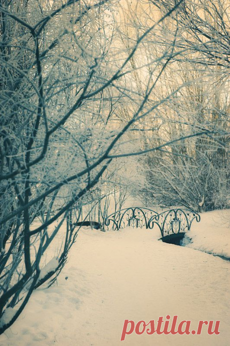 35PHOTO - Dmitriy Egorov - ***