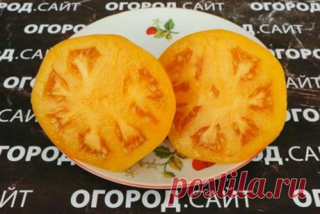 Томат Танагер (гном), семена | ОГОРОД.сайт