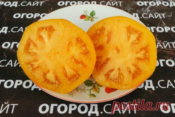 Томат Танагер (гном), семена | ОГОРОД.сайт