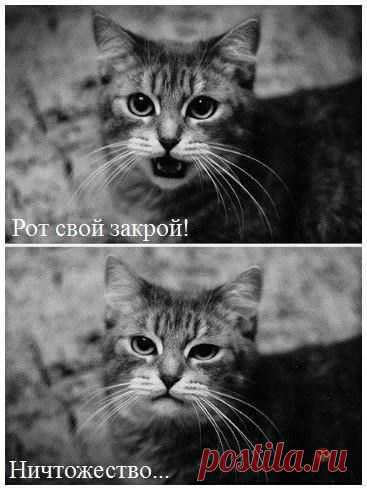 Диалоги