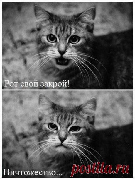 Диалоги