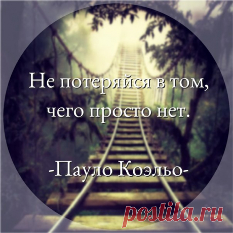 #цитаты #умные_мысли