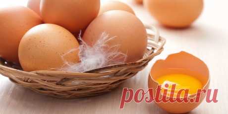 Медики сделали новое открытие о пользе яиц | Милая Я Такой продукт как яйца можно найти в каждом холодильнике. С их помощью готовят массу блюд, но мало кто знает обо всех полезных свойствах этого продукта.   Существует распространенное мнение, что яйца не следует употреблять каждый день из-за наличия в них вредного холестерина. Однако недавно медики обоснованно опровергли этот довод с помощью проведенных исследований. В результате специалисты пришли к единогласному мнению,...