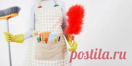Что делать, чтобы дома всегда было чисто / Домоседы