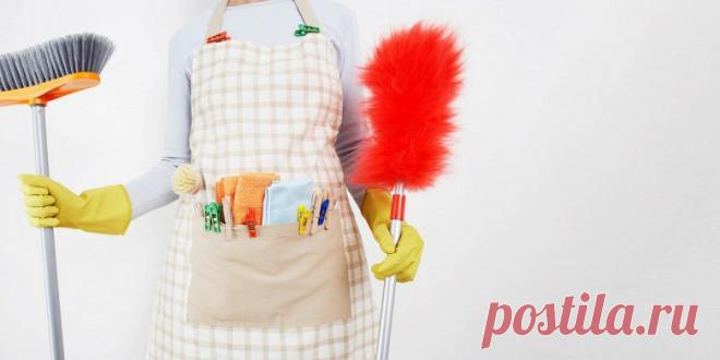 Что делать, чтобы дома всегда было чисто / Домоседы