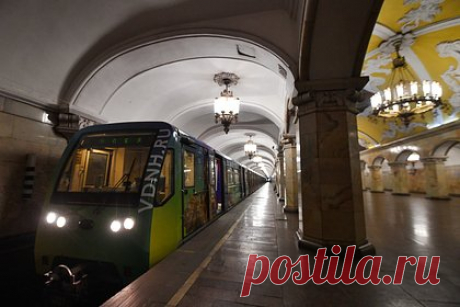 Пассажир метро стал бросать своего кота на людей и угрожать им братками