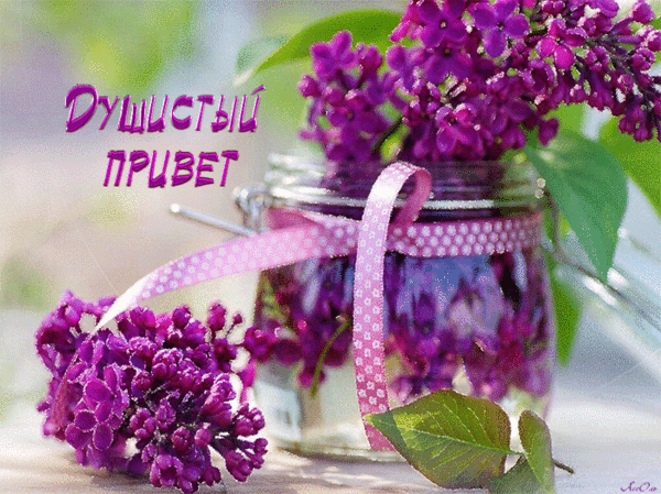 Душистый привет !